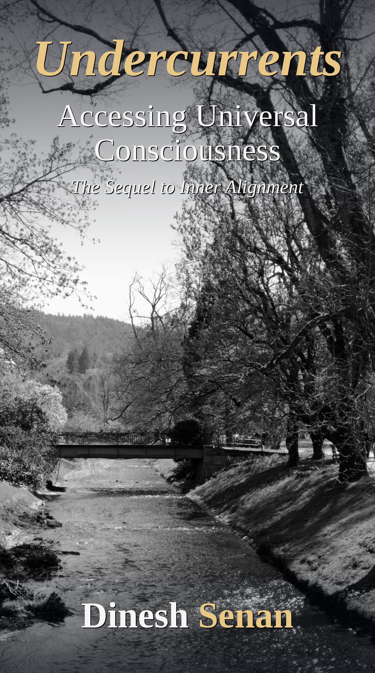 Undercurrents: Accessing Universal Consciousness by Dinesh Senan - Book Cover